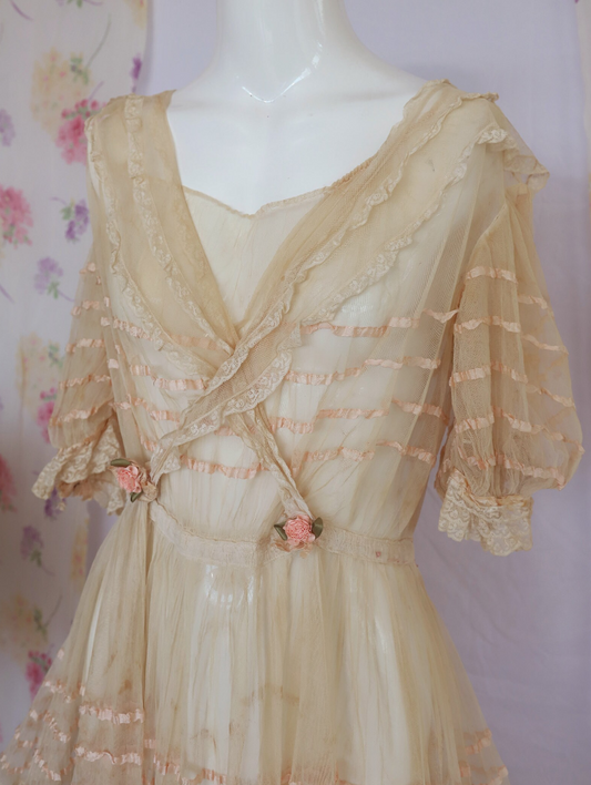 1910s Antique Lace Sheer Netted Edwardian  Dress