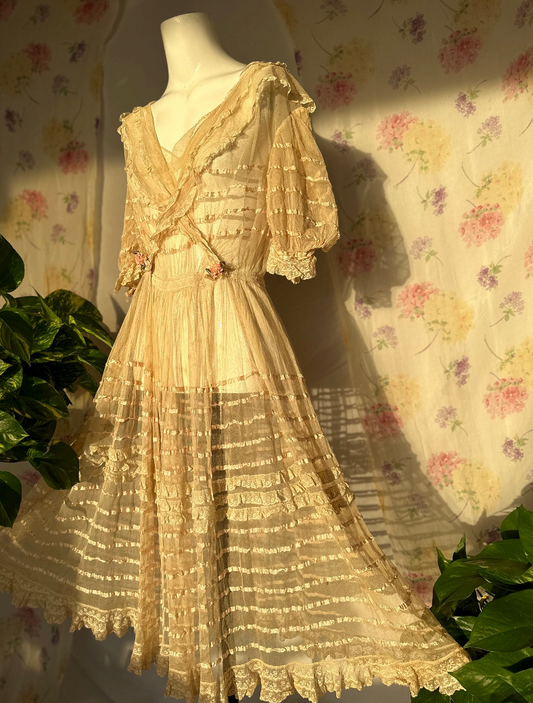 1910s Antique Lace Sheer Netted Edwardian  Dress